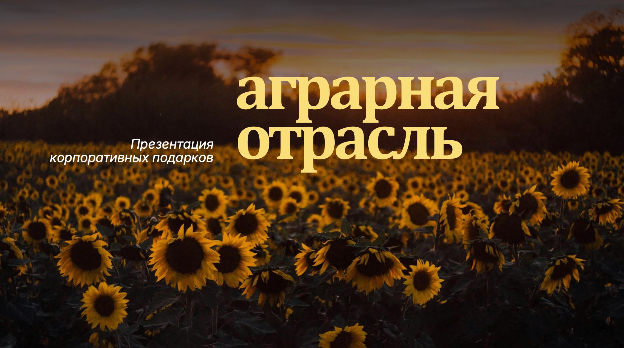Презентация